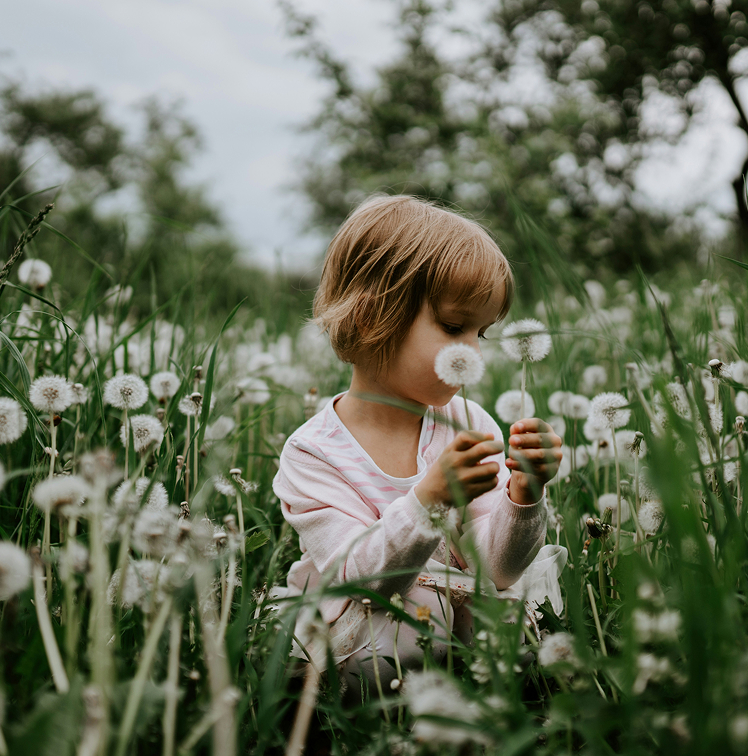 Child in dandelion field